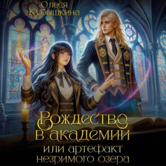 Обложка книги «Рождество в академии, или Артефакт незримого озера»