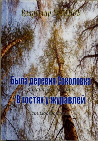 Обложка книги «Была деревня Соколовка»