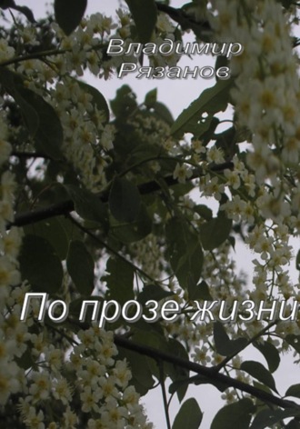 Обложка книги «По прозе жизни»