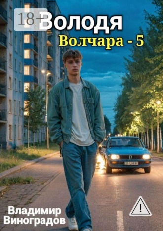 Обложка книги «Володя»