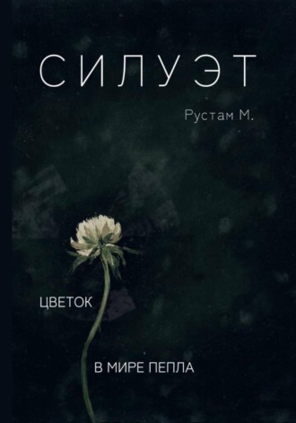 Обложка книги «Силуэт»