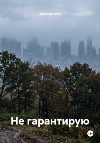Обложка книги «Не гарантирую»