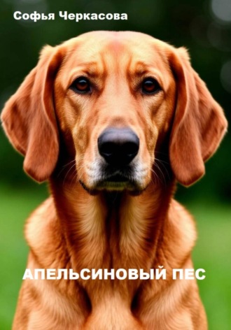 Обложка книги «Апельсиновый пёс»