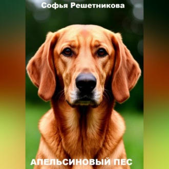 Обложка книги «Апельсиновый пёс»