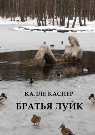Обложка книги «Братья Луйк»