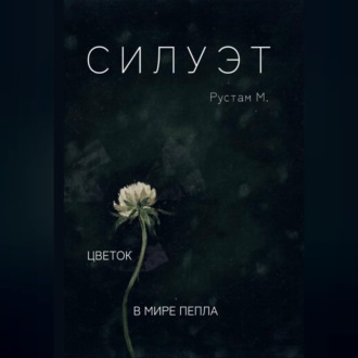 Обложка книги «Силуэт»