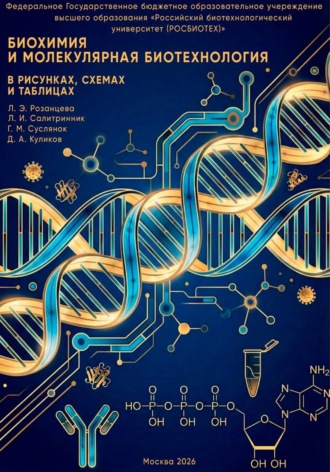 Обложка книги «Биохимия и молекулярная биотехнология»
