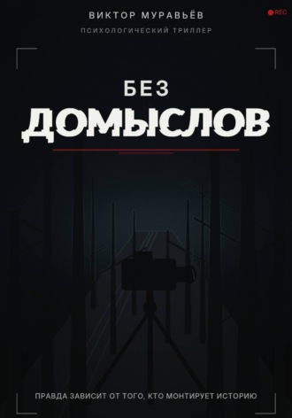 Обложка книги «Без домыслов»