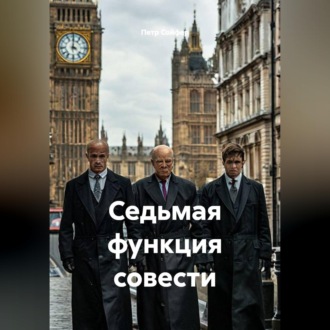 Обложка книги «Седьмая функция совести»