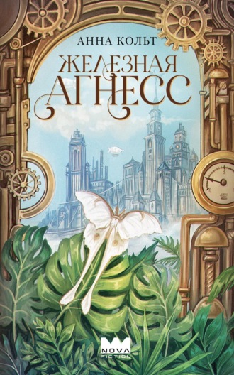 Обложка книги «Железная Агнесс»