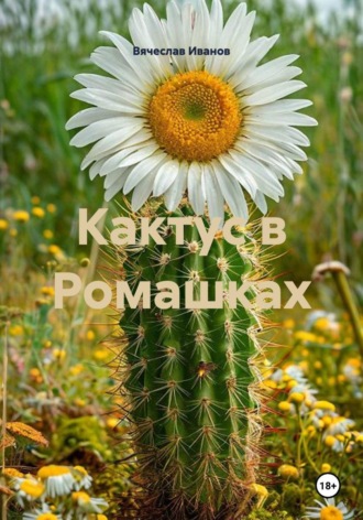 Обложка книги «Кактус в Ромашках»