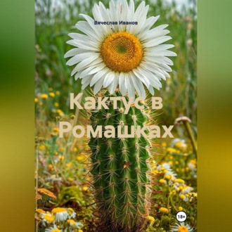 Обложка книги «Кактус в Ромашках»