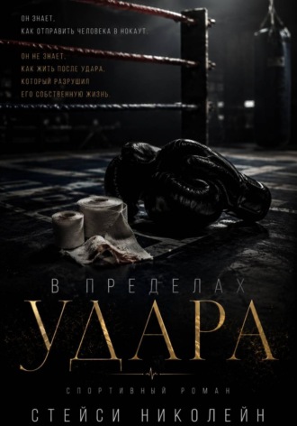 Обложка книги «В пределах удара»