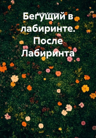 Обложка книги «Бегущий в лабиринте. После Лабиринта»