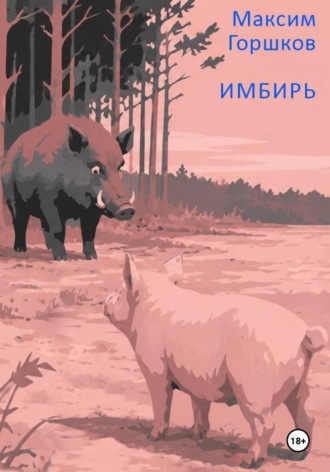 Обложка книги «Имбирь»
