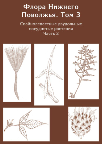 Обложка книги «Флора Нижнего Поволжья. Том 3. Часть 2. Спайнолепестные двудольные сосудистые растения (Asteraceae). Дополнения к предыдущим томам»