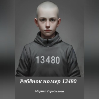 Обложка книги «Ребёнок номер 13480»