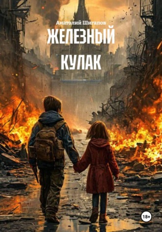 Обложка книги «Железный кулак»