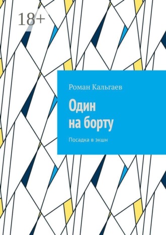 Обложка книги «Один на борту. Посадка в экшн»