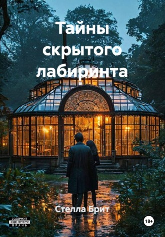 Обложка книги «Тайны скрытого лабиринта»