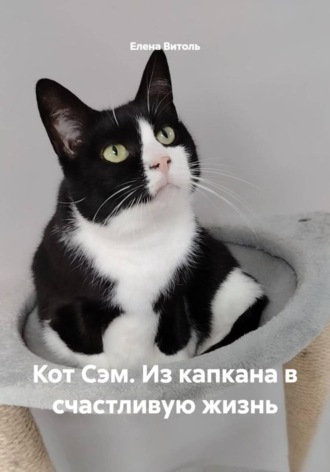 Обложка книги «Кот Сэм. Из капкана в счастливую жизнь»