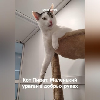 Обложка книги «Кот Пират: Маленький ураган в добрых руках»