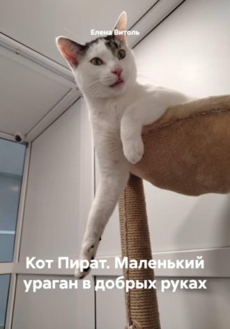 Обложка книги «Кот Пират. Маленький ураган в добрых руках»