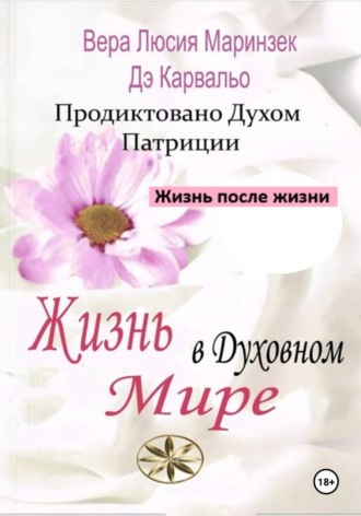 Обложка книги «Жизнь в Духовном Мире»
