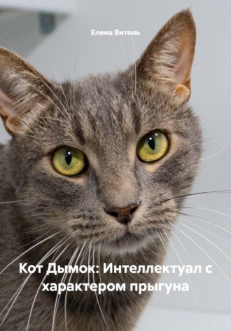 Обложка книги «Кот Дымок: Интеллектуал с характером прыгуна»