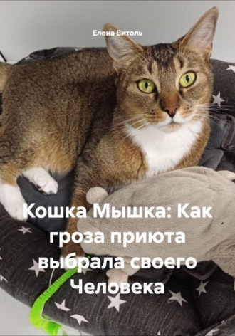 Обложка книги «Кошка Мышка: Как гроза приюта выбрала своего Человека»
