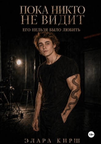 Обложка книги «Пока никто не видит. Его нельзя было любить»
