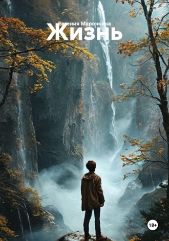 Обложка книги «Жизнь»