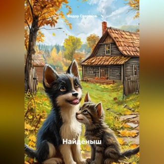 Обложка книги «Найдёныш»