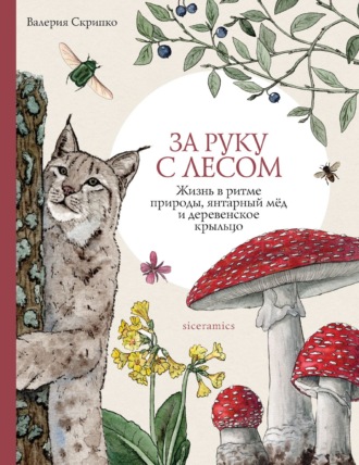 Обложка книги «За руку с лесом. Жизнь в ритме природы, янтарный мёд и деревенское крыльцо»