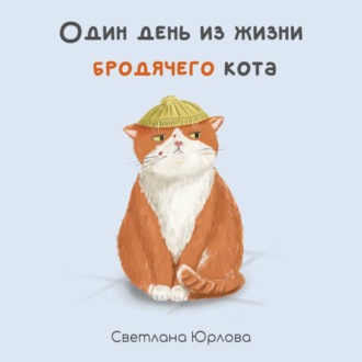 Обложка книги «Один день из жизни бродячего кота»