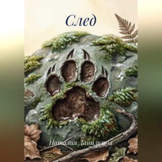 Обложка книги «След»