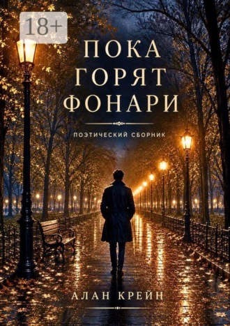 Обложка книги «Пока горят фонари»