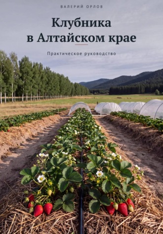 Обложка книги «Клубника в Алтайском крае. Практическое руководство»