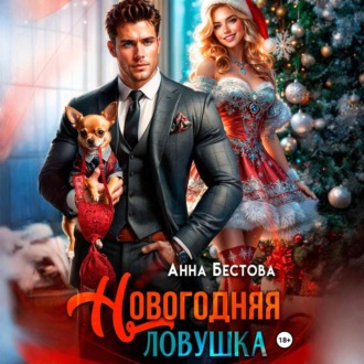 Обложка книги «Новогодняя ловушка»