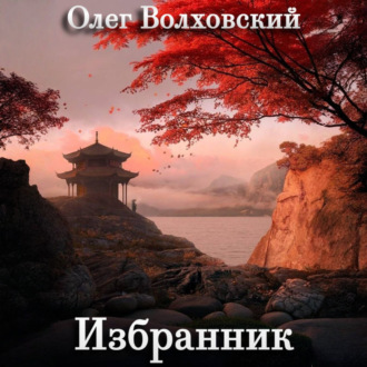 Обложка книги «Избранник»