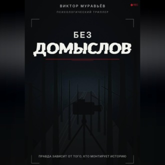 Обложка книги «Без домыслов»
