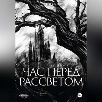 Обложка книги «Час перед рассветом»