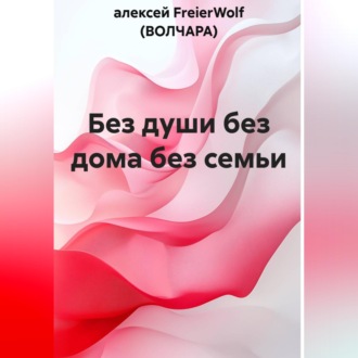 Обложка книги «Без души без дома без семьи»