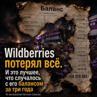 Обложка книги «Wildberries потерял все. И это лучшее, что случалось с его балансом за три года»