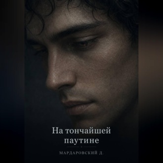 Обложка книги «На тончайшей паутине»