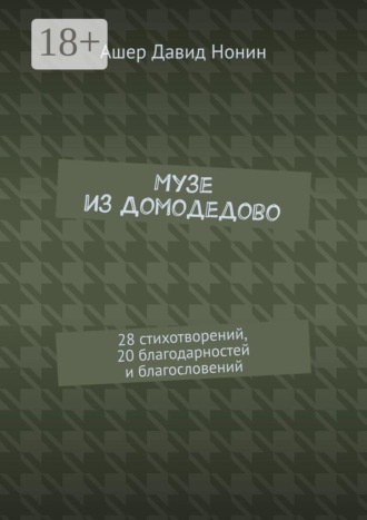Обложка книги «Музе из Домодедово. 28 стихотворений, 20 благодарностей и благословений»