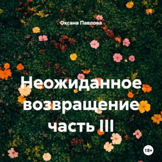Обложка книги «Неожиданное возвращение часть III»