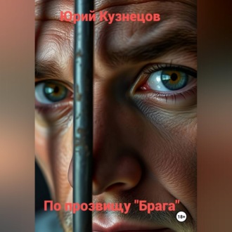Обложка книги «По прозвищу "Брага"»