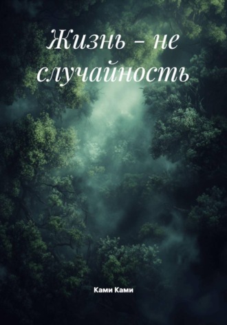 Обложка книги «Жизнь - не случайность»
