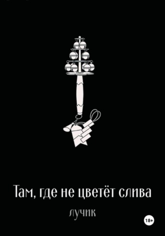 Обложка книги «Там, где не цветёт слива»